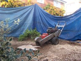 The tree has been felled. The remaining stump, is now ground out. We clear all the grindings.